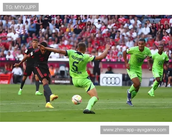 沃尔夫斯堡备战与伤情更新简报——全面解读狼堡战术布局与球员伤情